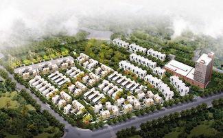 临汾大宁爆料案件最新,真相大白，疑云散去！”